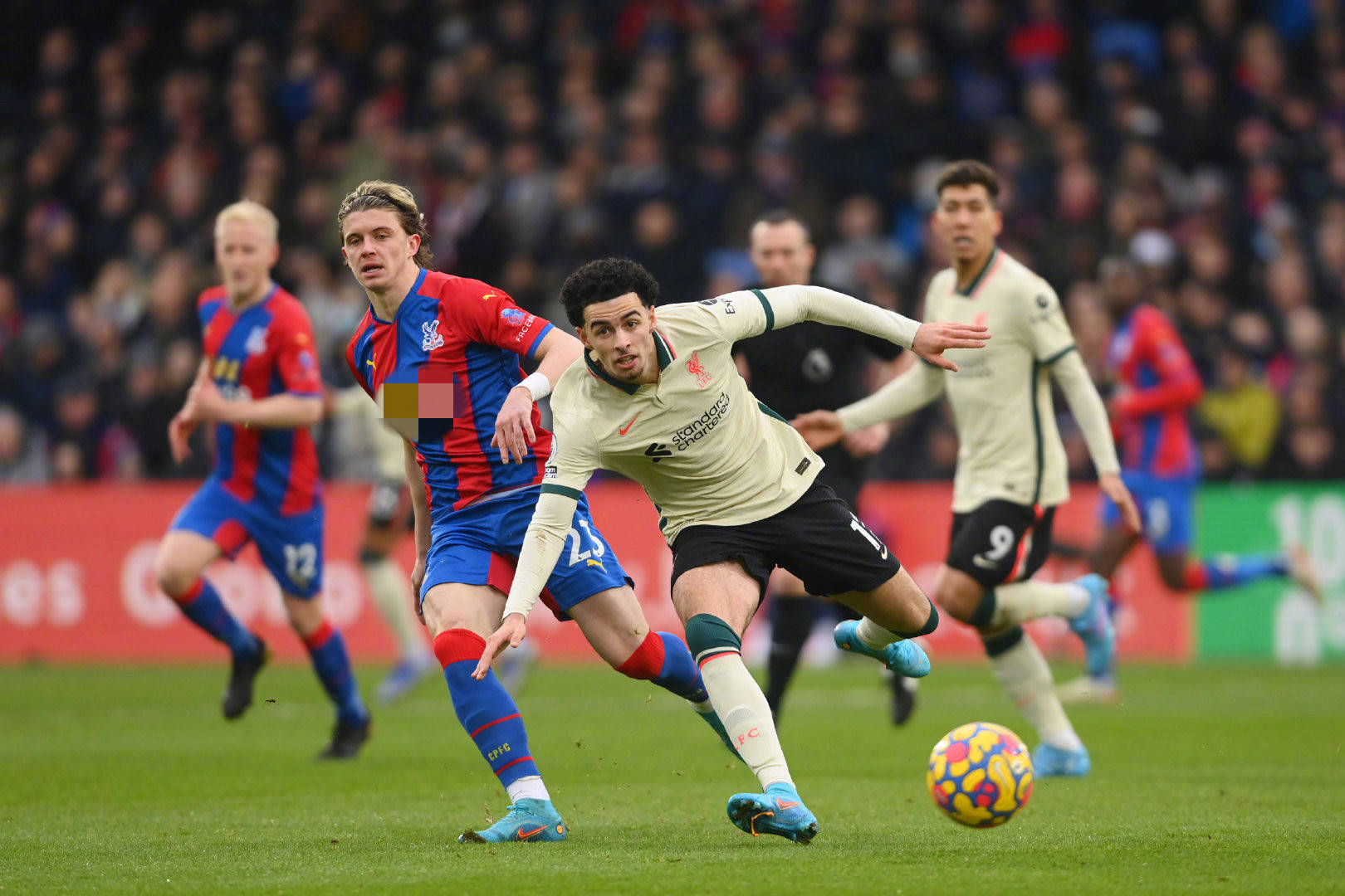 证明自我的 证明自我的